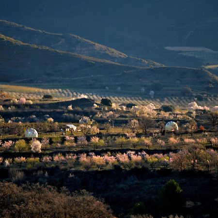 Mirador De Pideago - Gratal Y Nabiella Hotel Bolea Kültér fotó